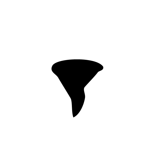 丁再献的骨刻文