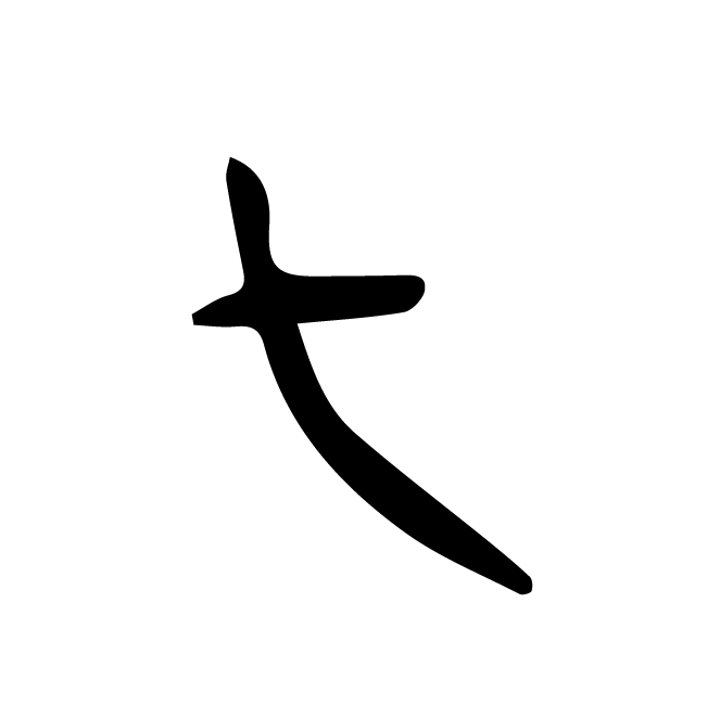 丁再献的骨刻文