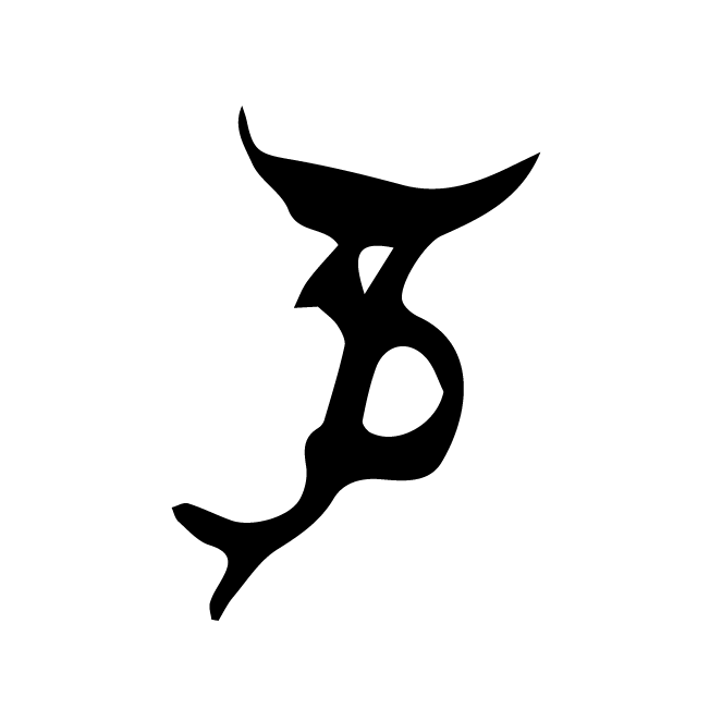 丁再献的骨刻文