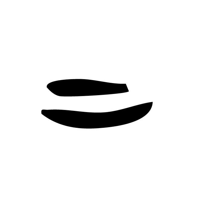 丁再献的骨刻文
