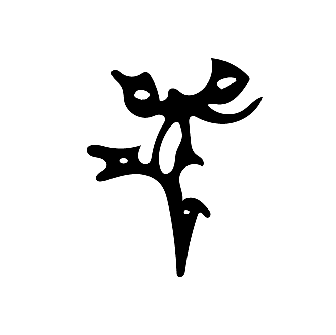 丁再献的骨刻文