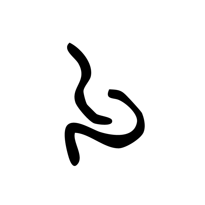 丁再献的骨刻文