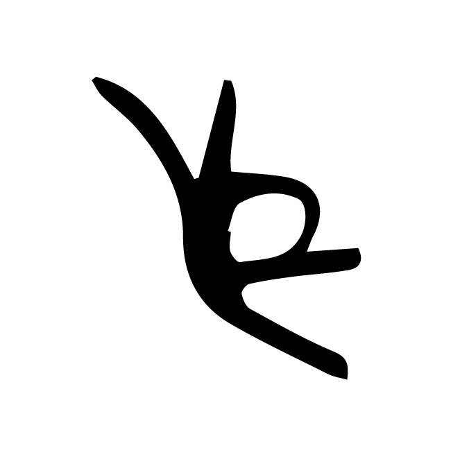 丁再献的骨刻文