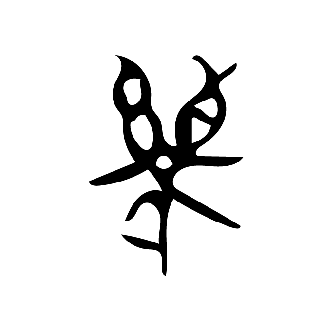 丁再献的骨刻文