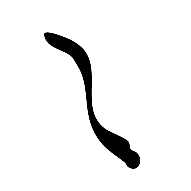 丁再献的骨刻文