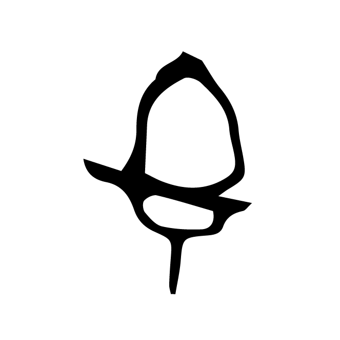 丁再献的骨刻文