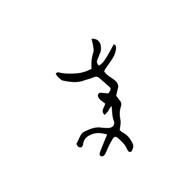 丁再献的骨刻文