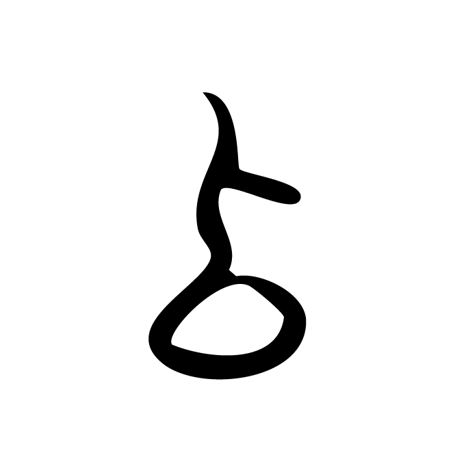 丁再献的骨刻文