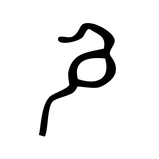 丁再献的骨刻文