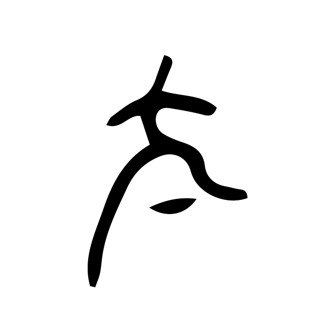 丁再献的骨刻文