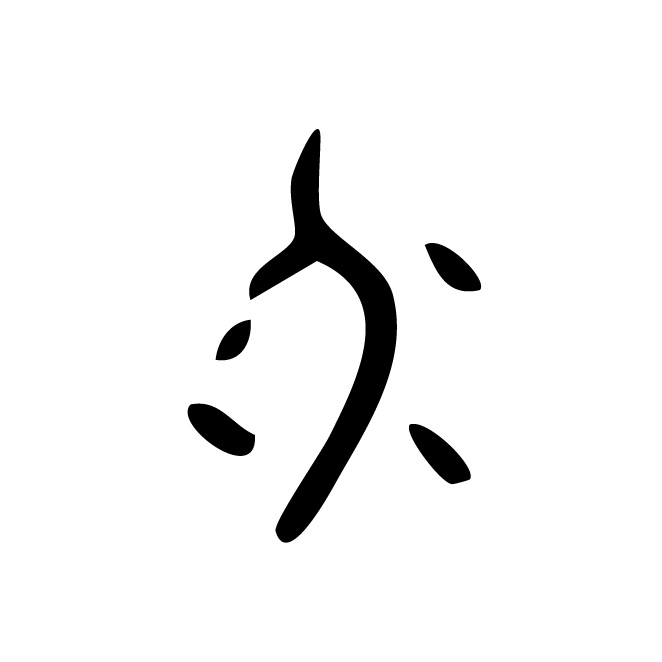 丁再献的骨刻文