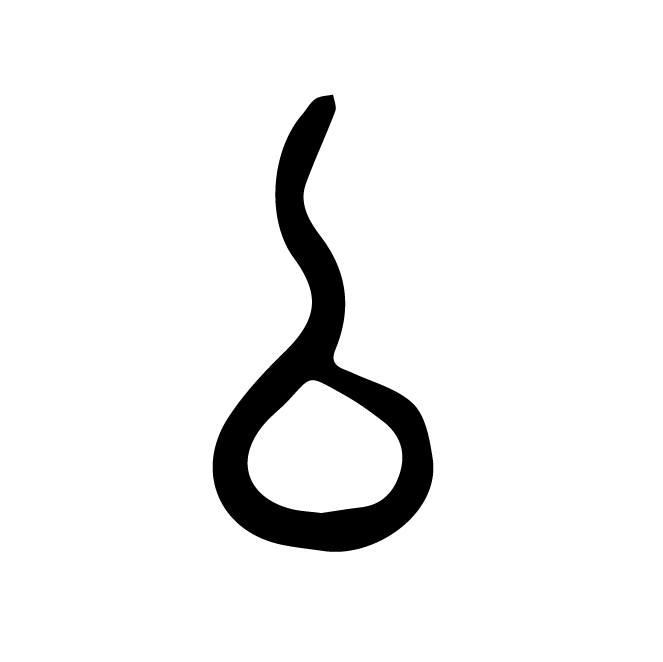 丁再献的骨刻文
