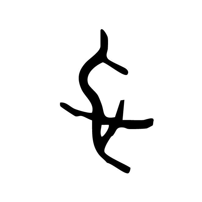 丁再献的骨刻文