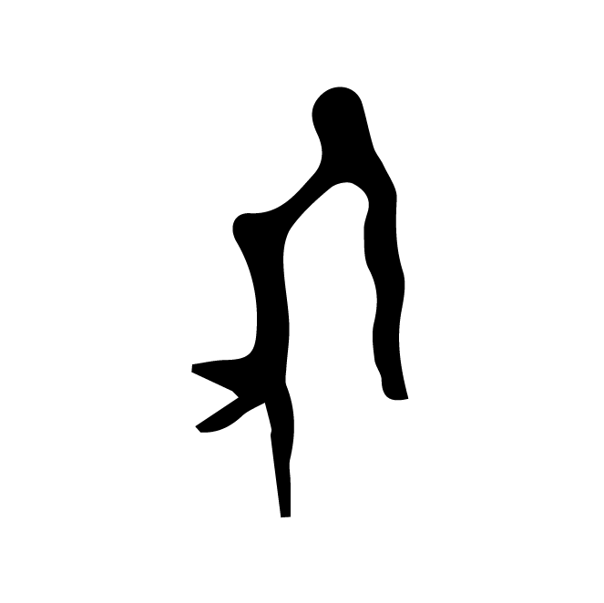 丁再献的骨刻文