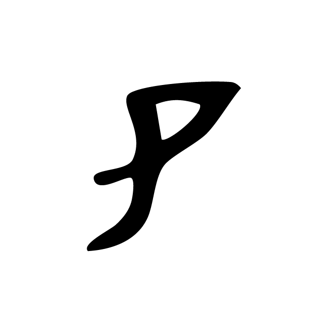 丁再献的骨刻文
