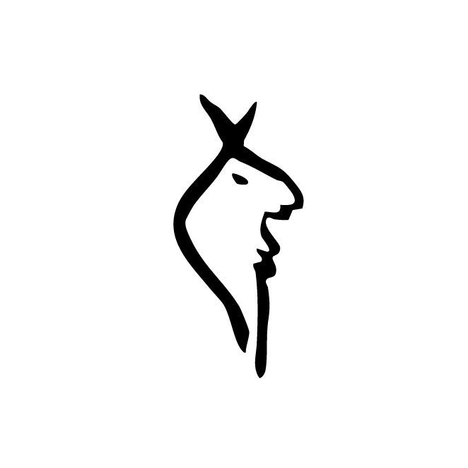 丁再献的骨刻文