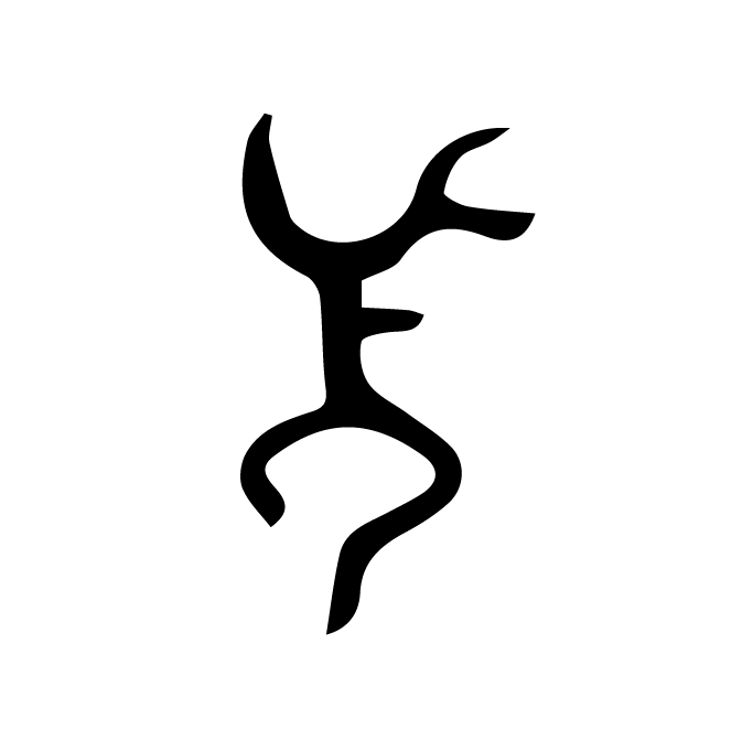 丁再献的骨刻文