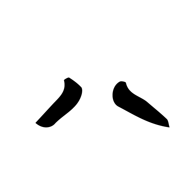 丁再献的骨刻文