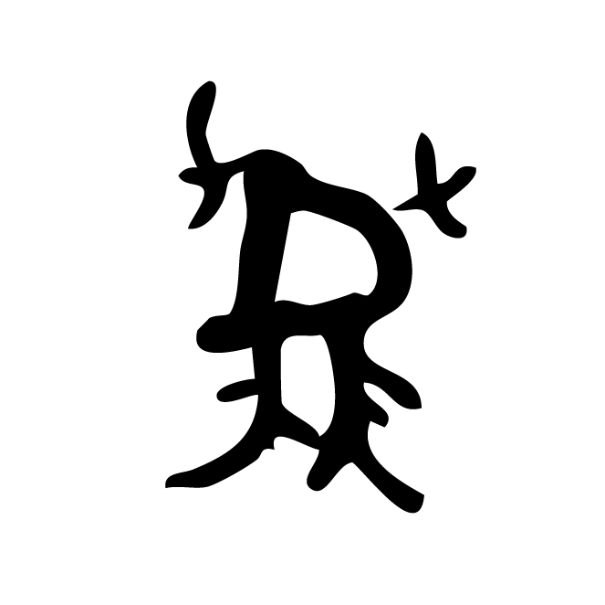 丁再献的骨刻文