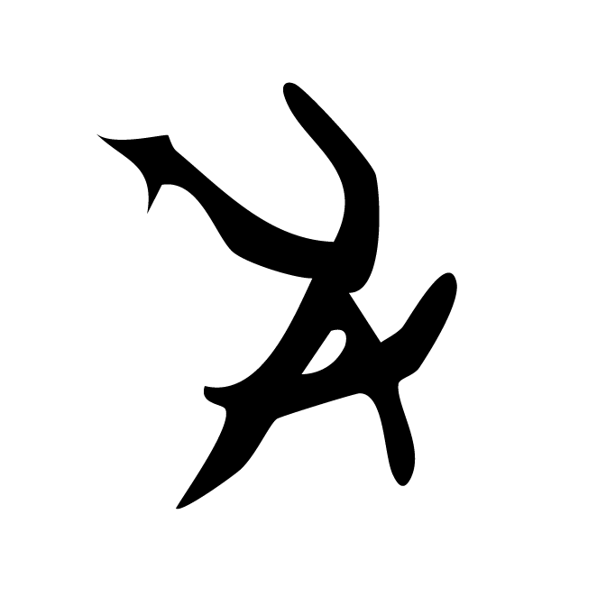 丁再献的骨刻文
