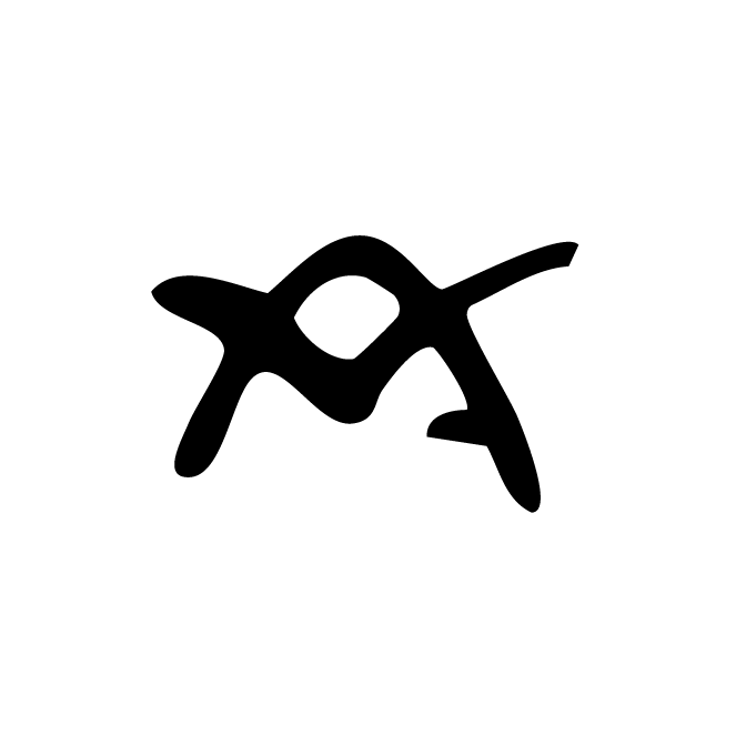 丁再献的骨刻文