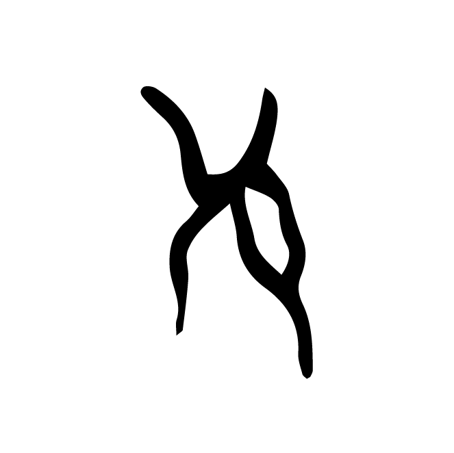 丁再献的骨刻文