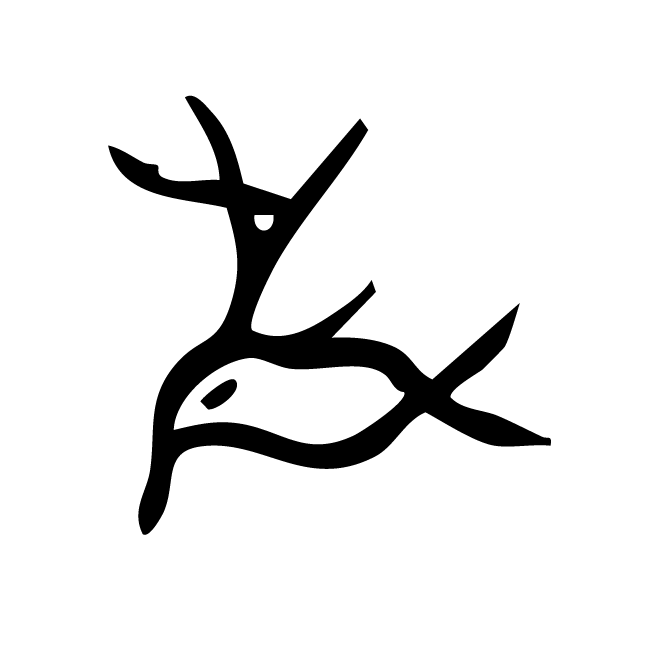 丁再献的骨刻文
