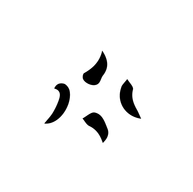 丁再献的骨刻文