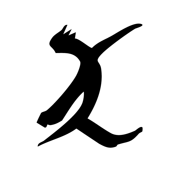 丁再献的骨刻文