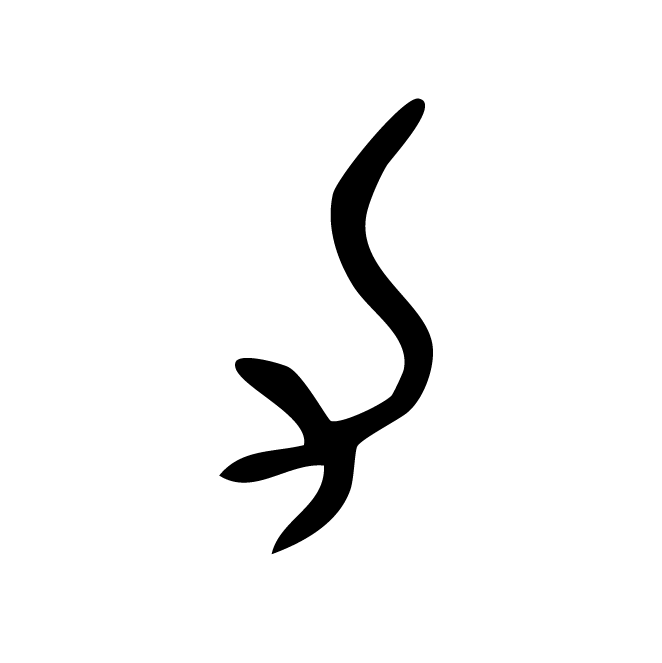 丁再献的金文