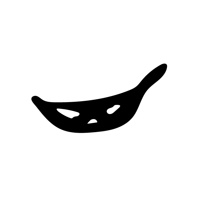 丁再献的骨刻文