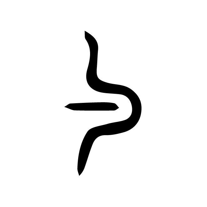丁再献的篆文