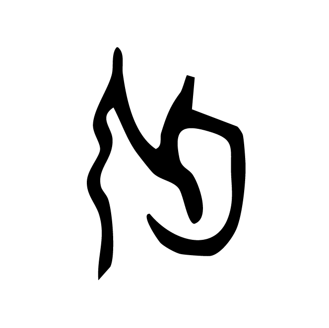 丁再献的骨刻文
