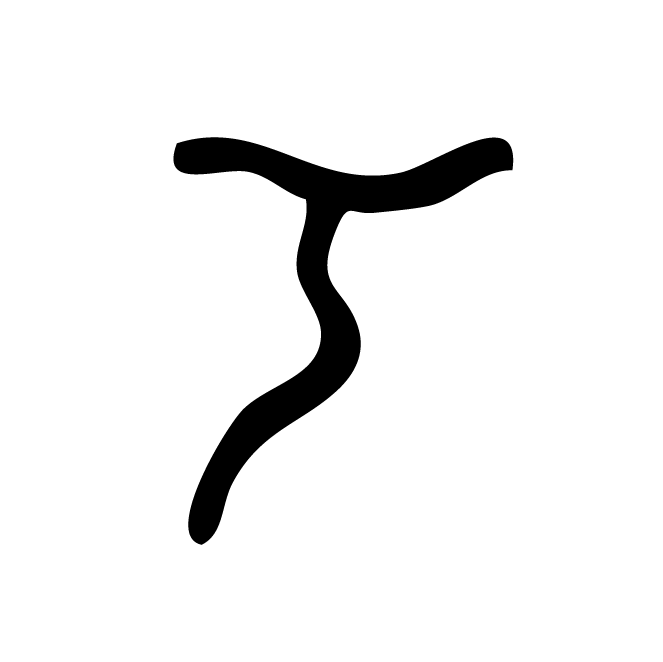 丁再献的骨刻文