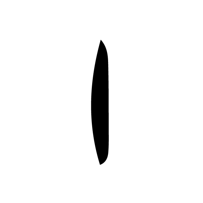 丁再献的骨刻文