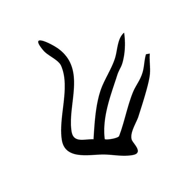 丁再献的骨刻文