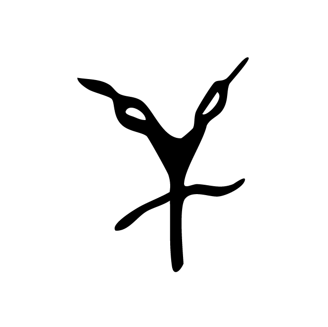 丁再献的骨刻文