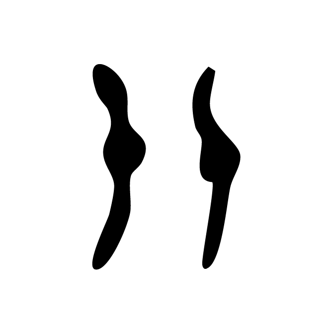 丁再献的金文