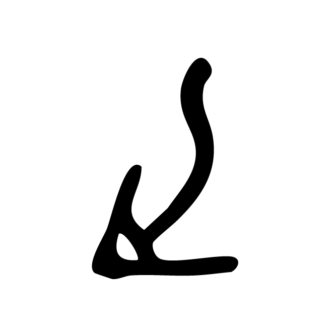 丁再献的骨刻文