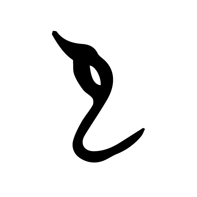 丁再献的骨刻文