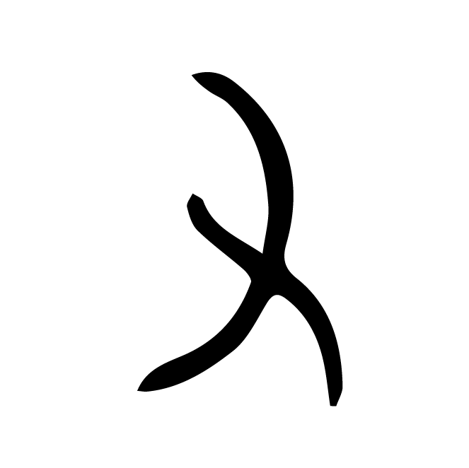 丁再献的骨刻文