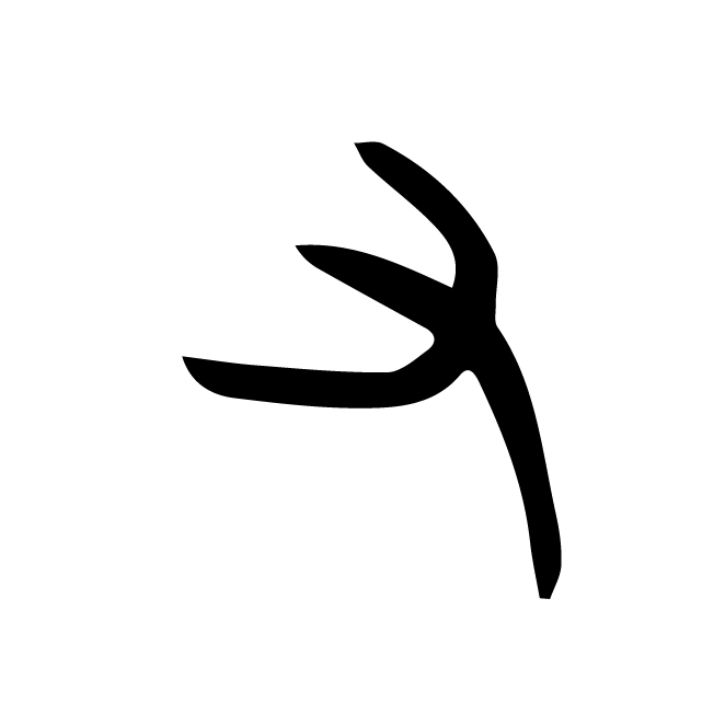 丁再献的金文