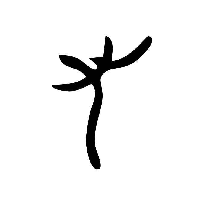 丁再献的骨刻文
