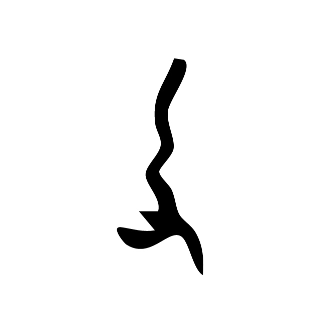 丁再献的骨刻文