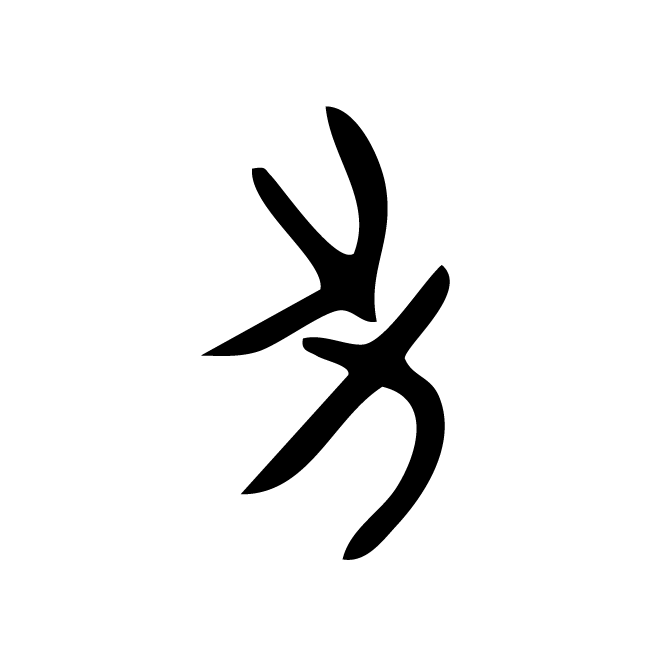 丁再献的骨刻文