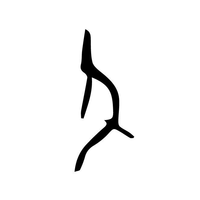 丁再献的骨刻文