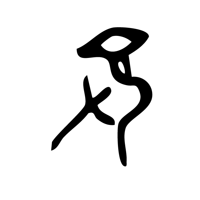 丁再献的骨刻文