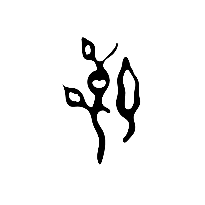 丁再献的骨刻文