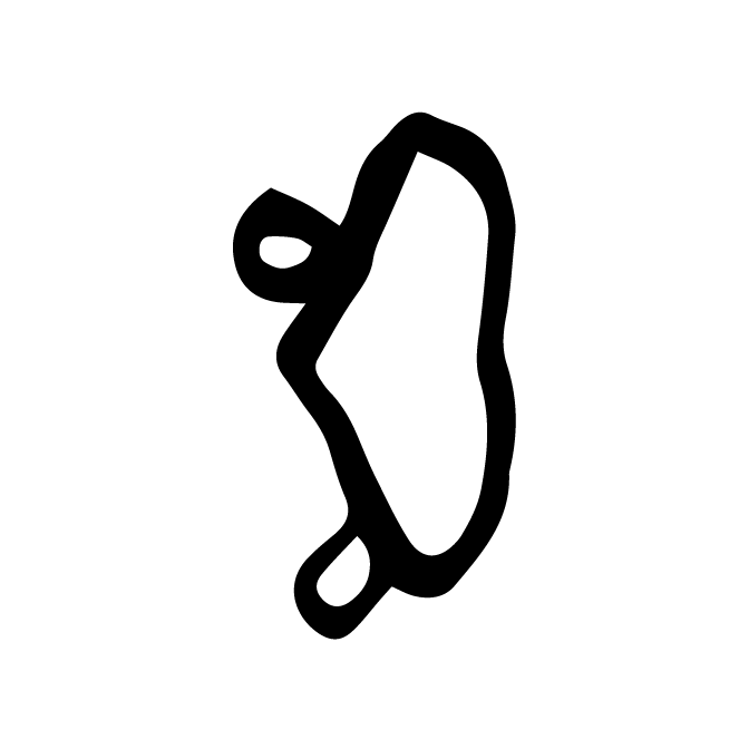 丁再献的骨刻文
