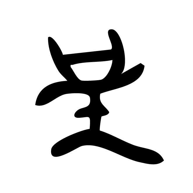 丁再献的骨刻文